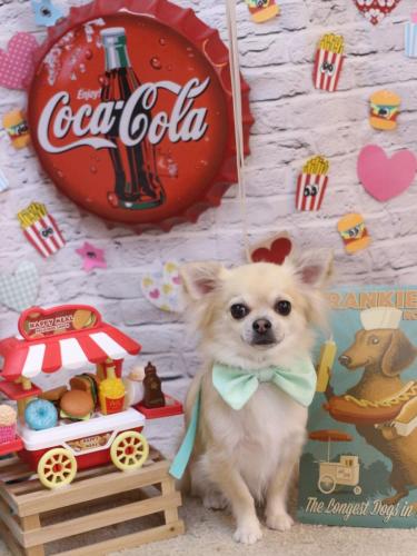 20230918とわくん